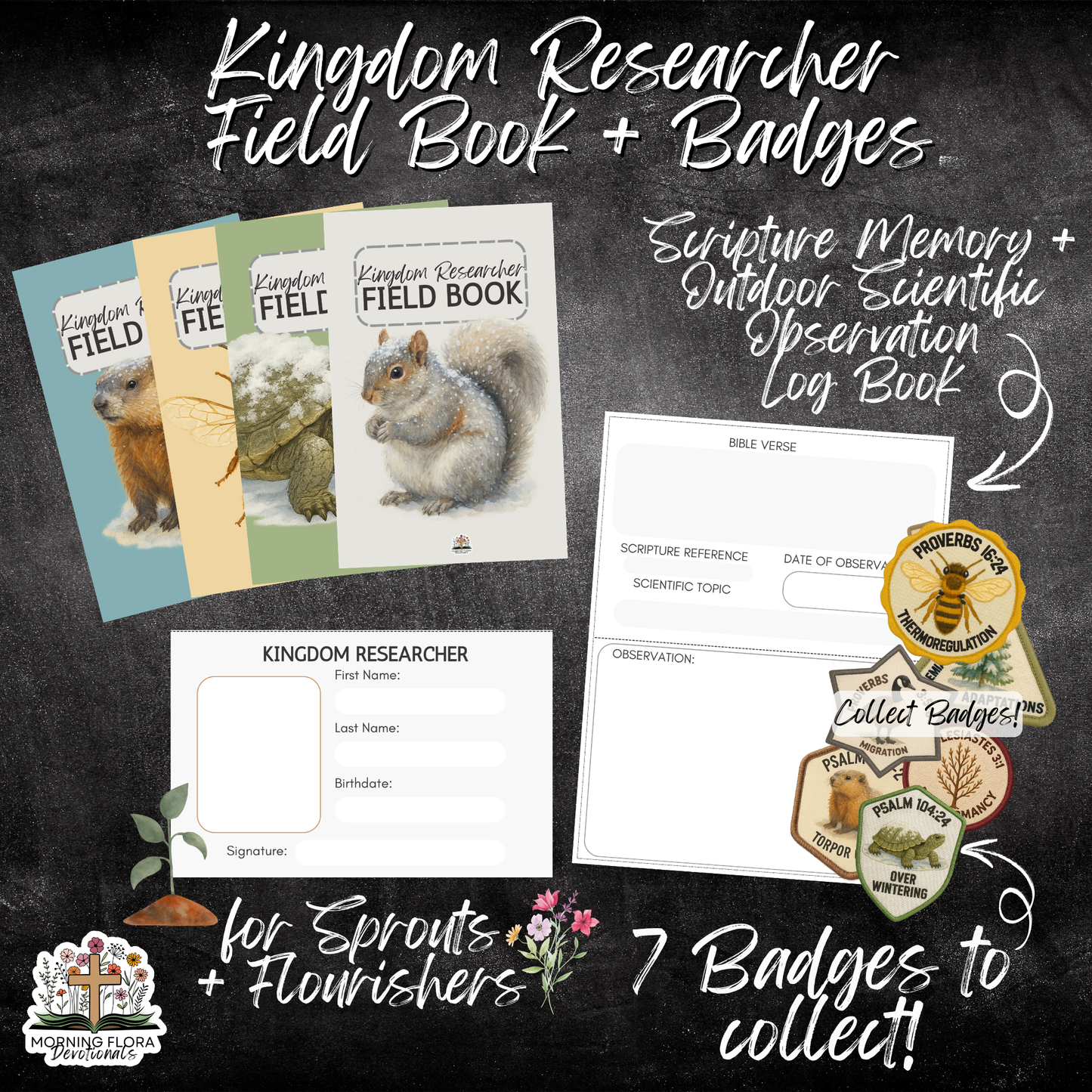 God's Perfect Design Devotional - Winter Edition