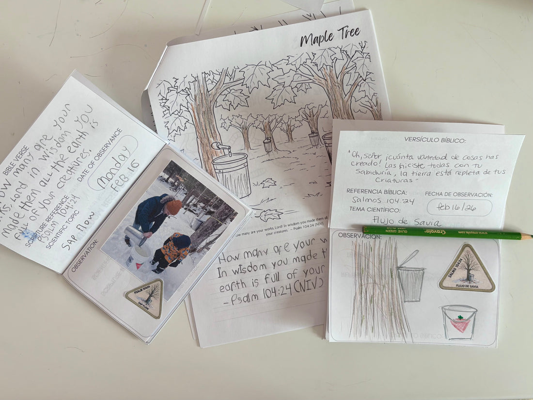 How to Teach Children About God Through Nature