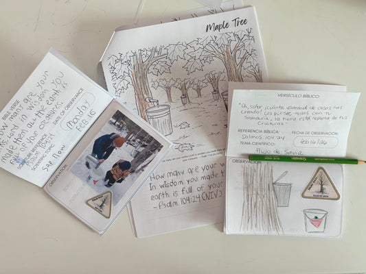 How to Teach Children About God Through Nature