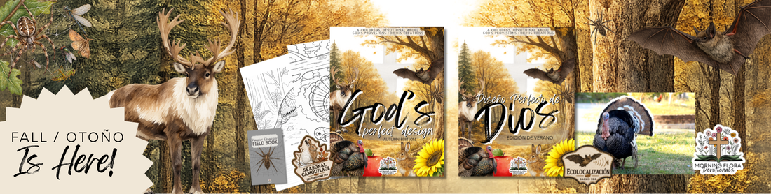 Discover God’s Perfect Design This Fall