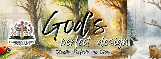 Christian Nature Study for Homeschool Families: A Simple Guide