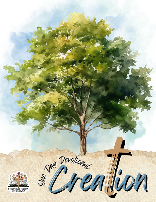 One Day Creation Devotional