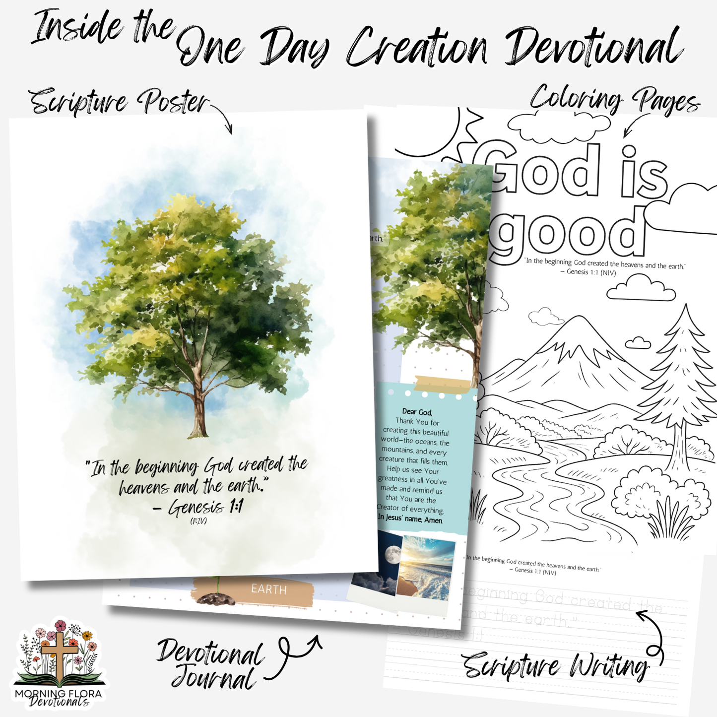 One Day Creation Devotional