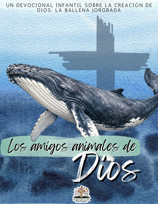 Los amigos animales de Dios - La ballena jorobada