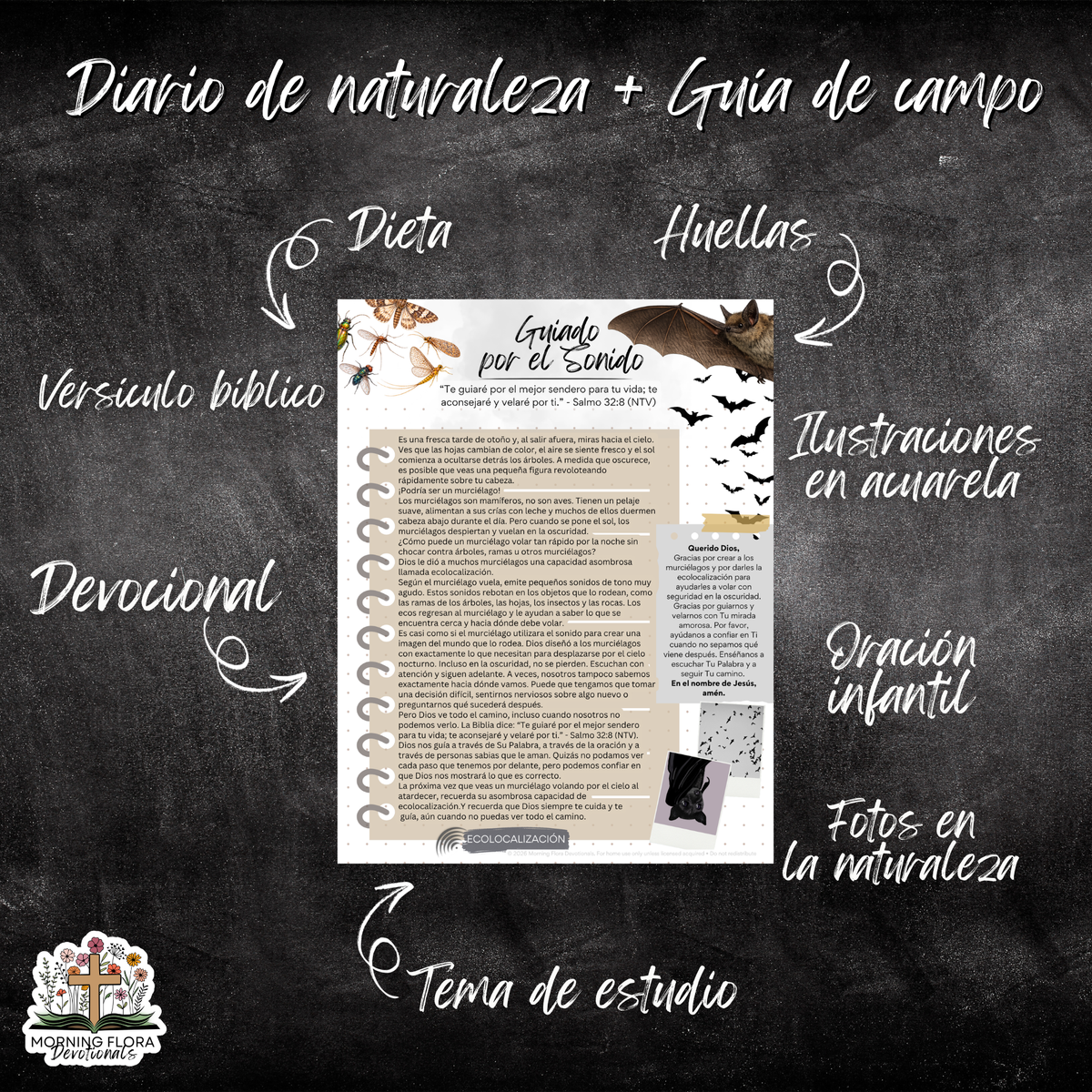 Diseño Perfecto de Dios - FALL - SPANISH VERSION