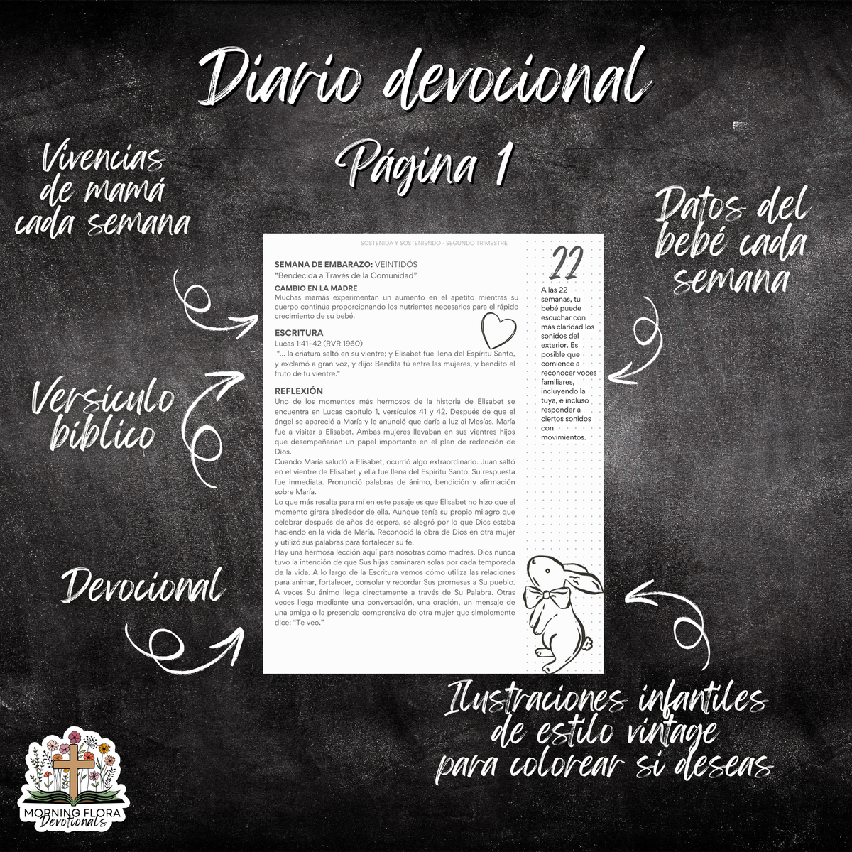 Sostenida y Sosteniendo - Paquete de Devocionales para el Embarazo
