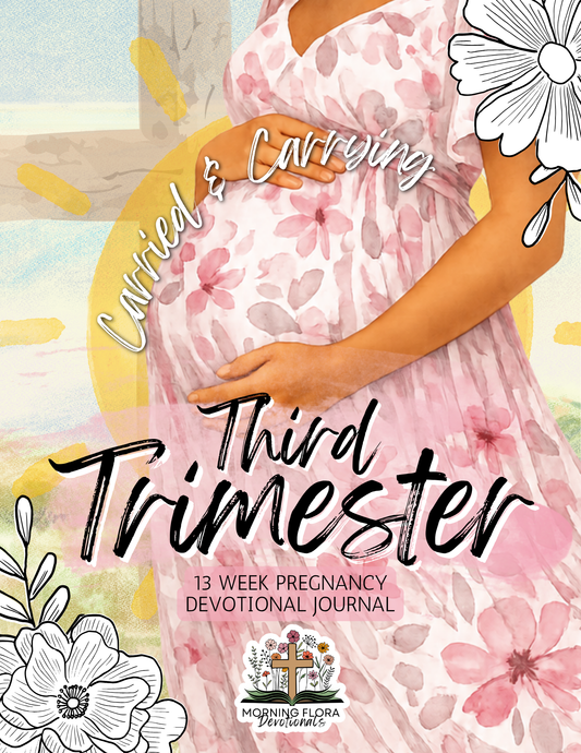 Third Trimester - Carried and Carrying - Pregnancy Devotional