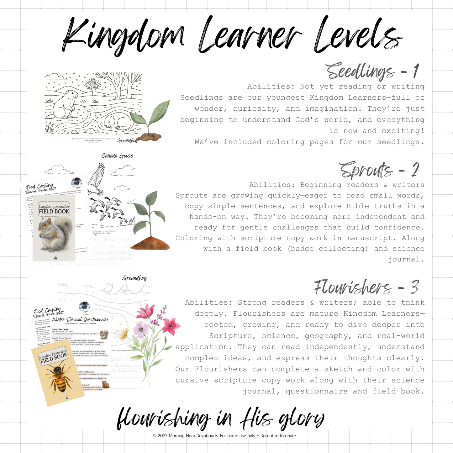 God's Perfect Design Devotional - Winter Edition