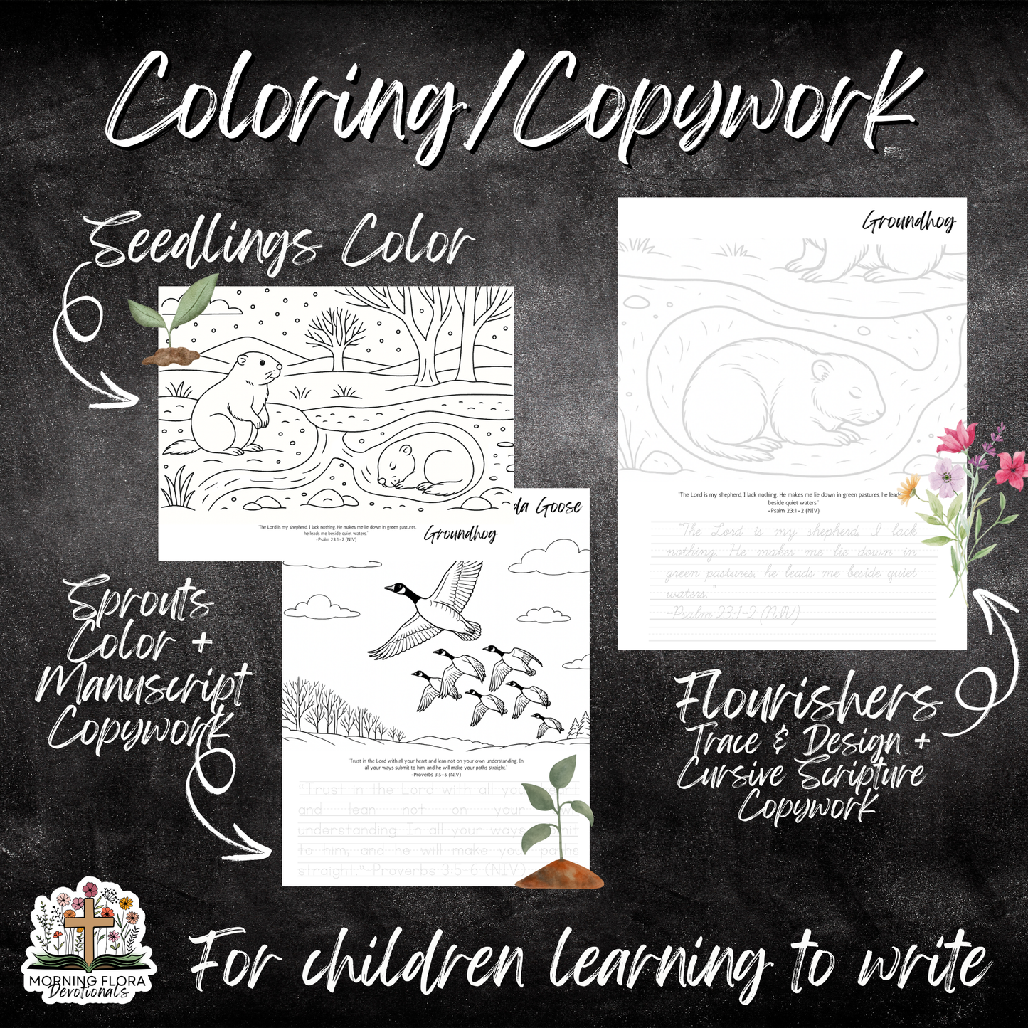 God's Perfect Design Devotional - Winter Edition