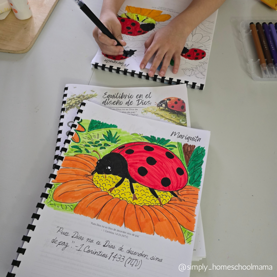 Diseño Perfecto - Edición Primavera - SPANISH VERSION