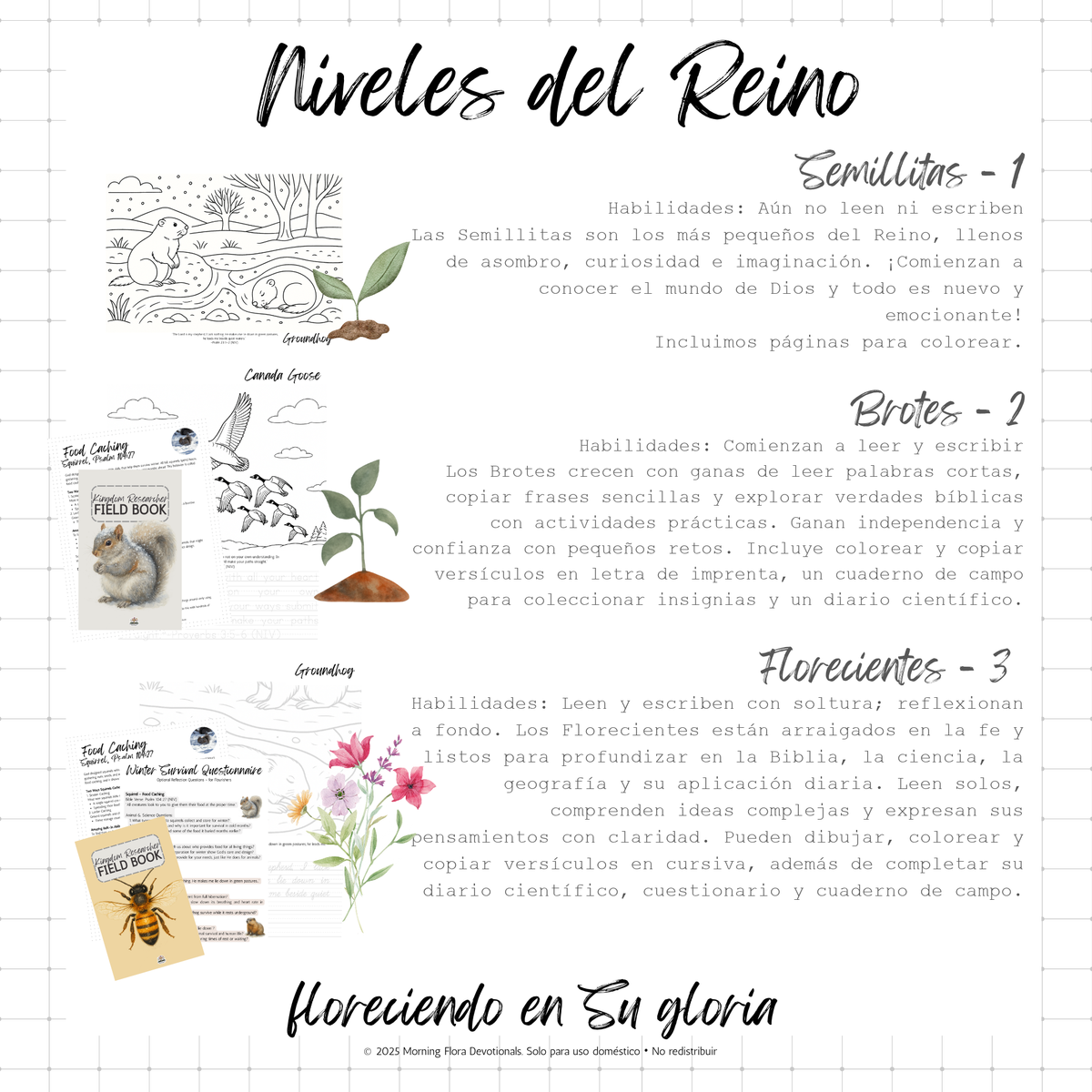 Diseño Perfecto de Dios - FALL - SPANISH VERSION