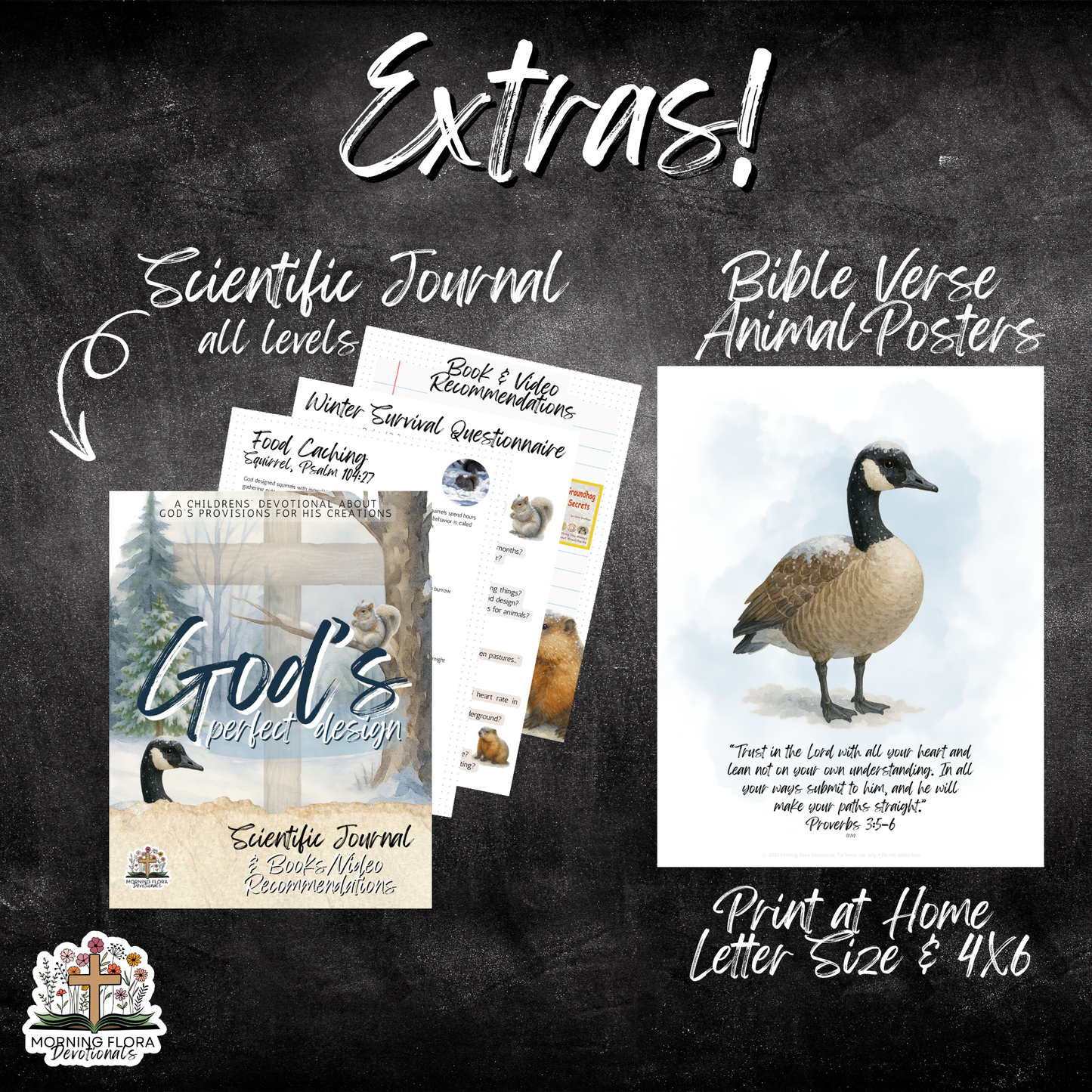 God's Perfect Design Devotional - Winter Edition