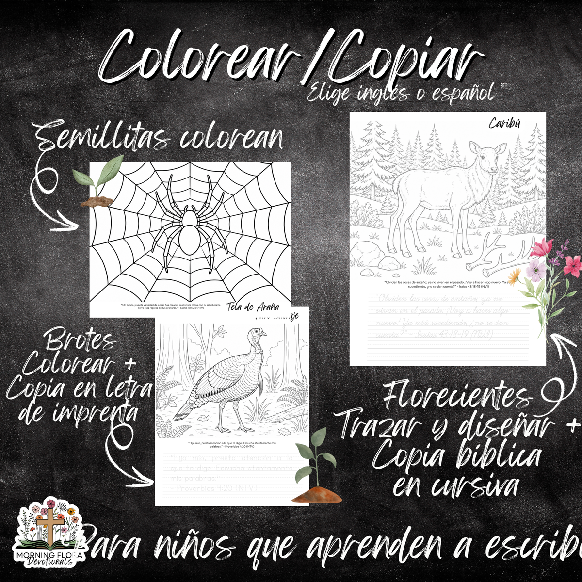 Diseño Perfecto de Dios - FALL - SPANISH VERSION