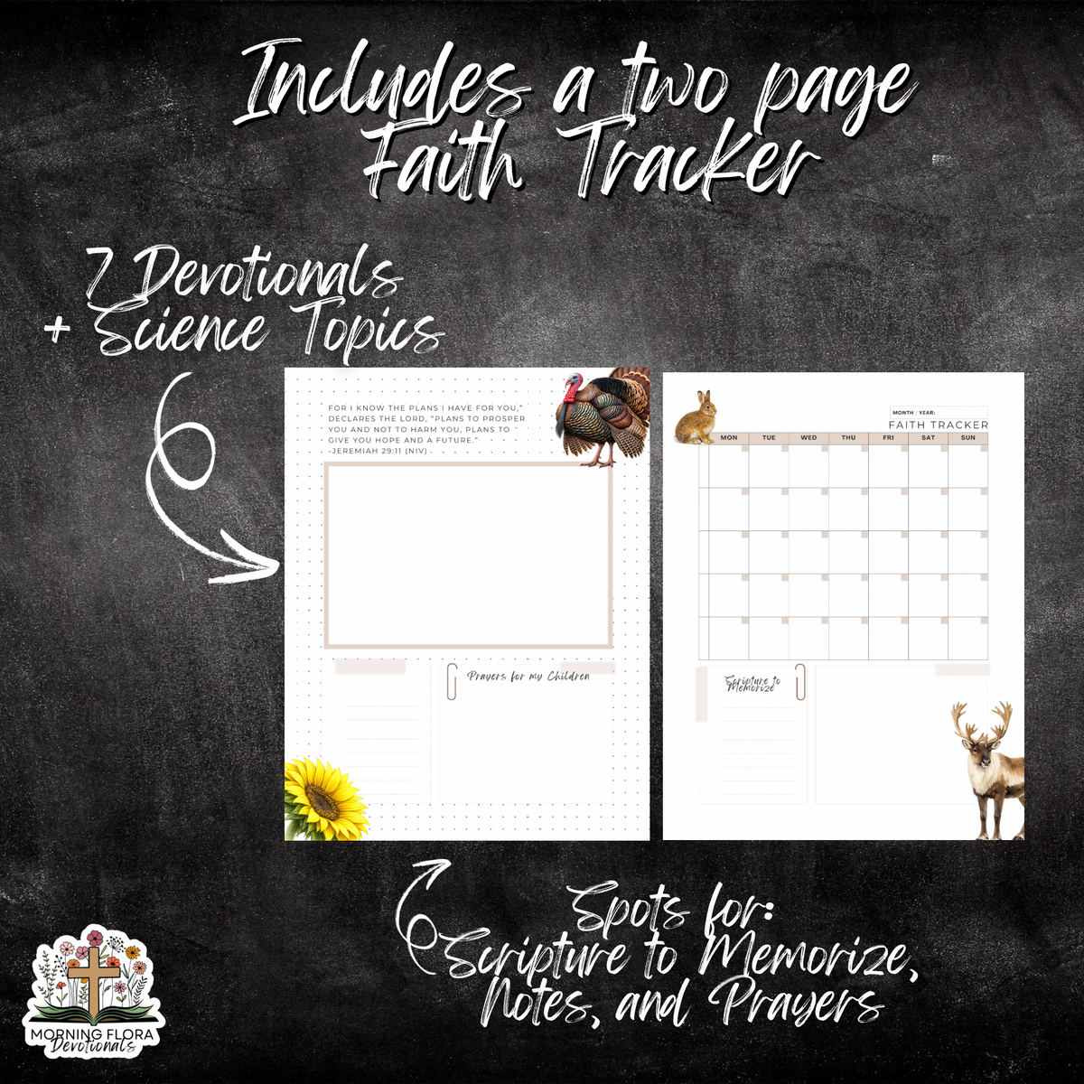 God’s Perfect Design- Fall Edition Bilingual Bundle