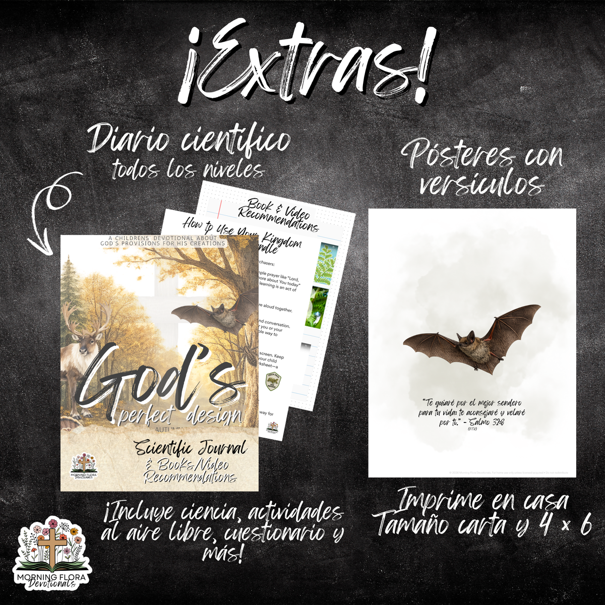 Diseño Perfecto de Dios - FALL - SPANISH VERSION