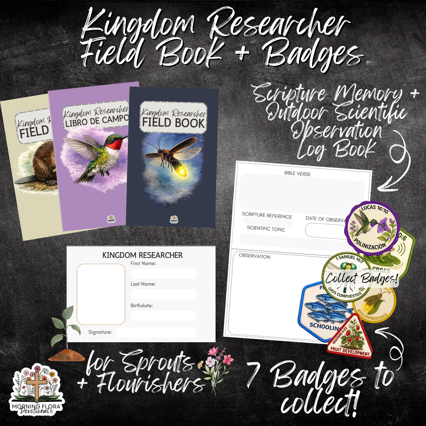 Pre-Order God's Perfect Design - Summer Edition, ENGLISH VERSION