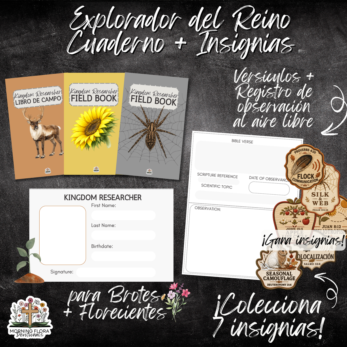 Diseño Perfecto de Dios - FALL - SPANISH VERSION