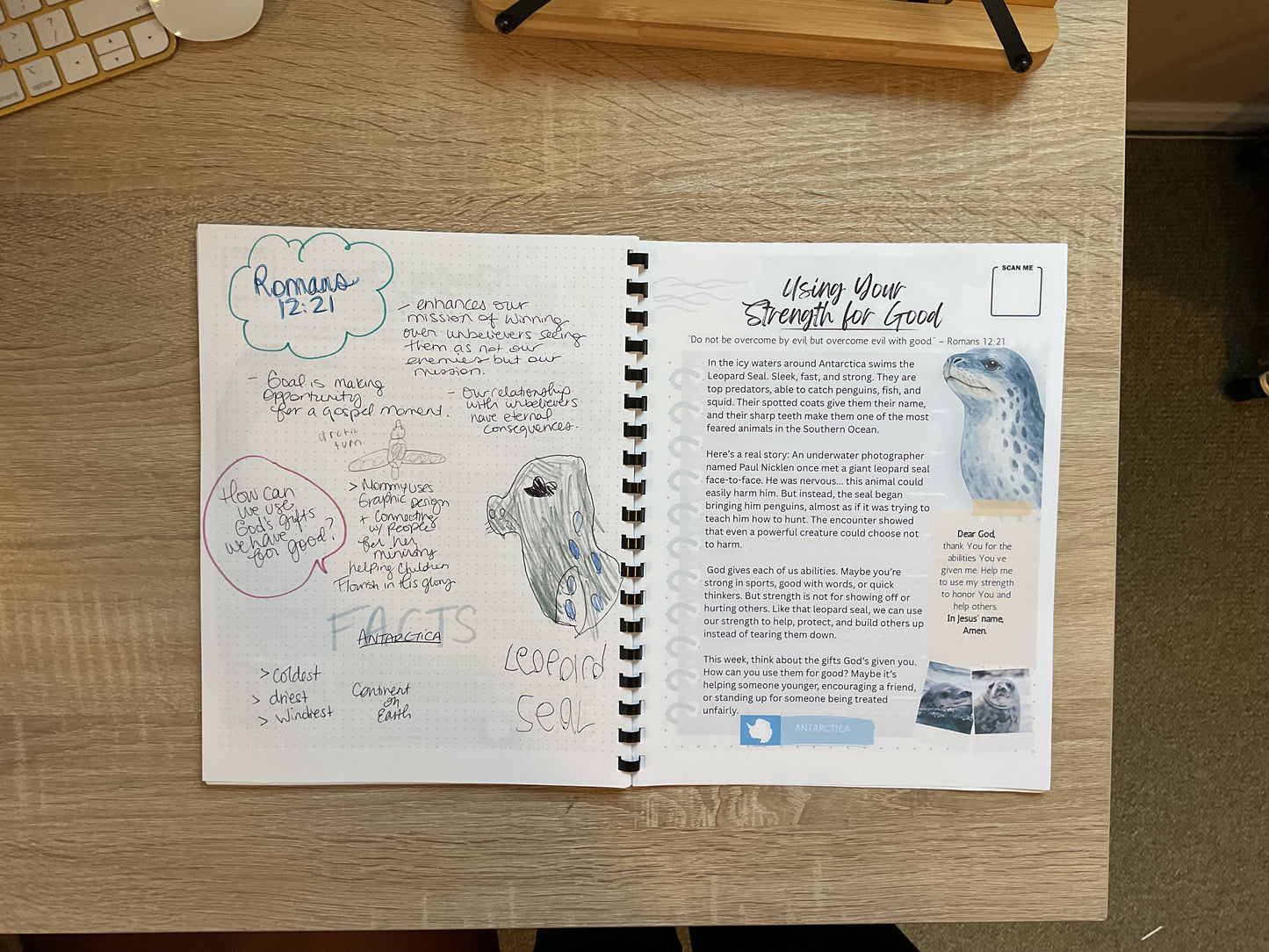 South America - Around the World with Animals - Digital Devotional for Children