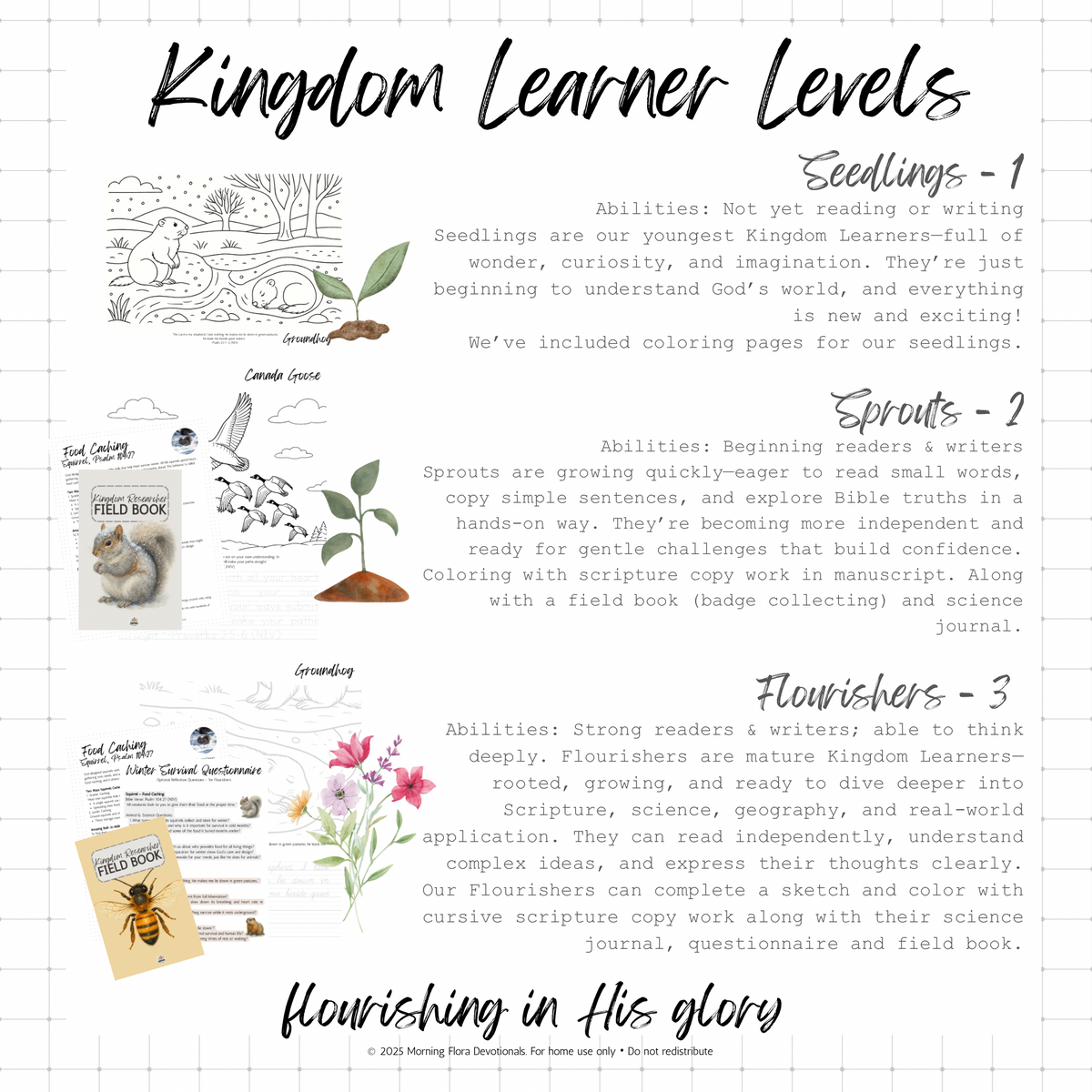God’s Perfect Design- Fall Edition Bilingual Bundle