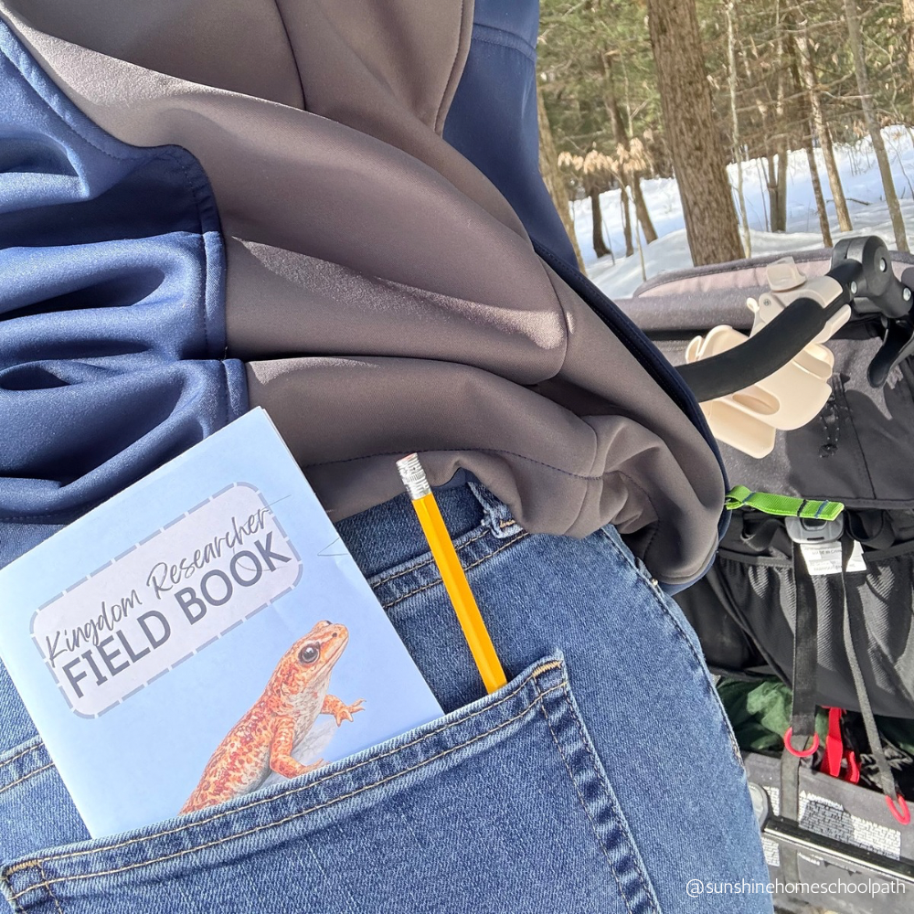 God's Perfect Design - Spring Edition, ENGLISH VERSION