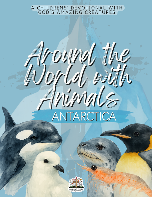 Antarctica - Around the World with Animals - Digital Devotional for Children