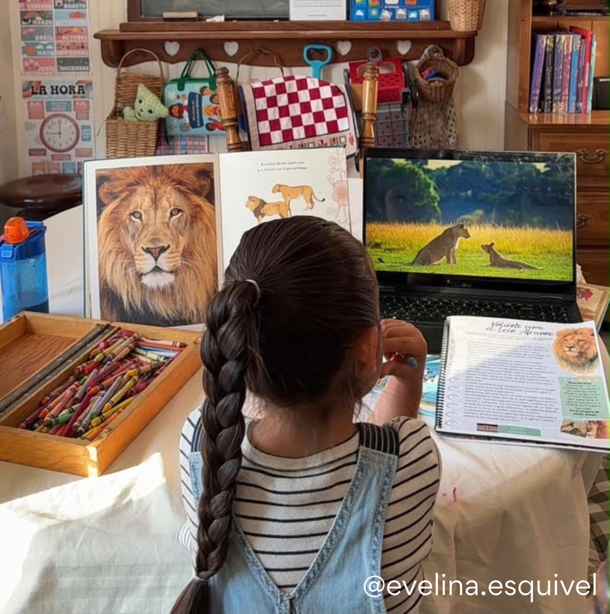 Alrededor del Mundo con Animales - Digital Devotional for Children (IN SPANISH)