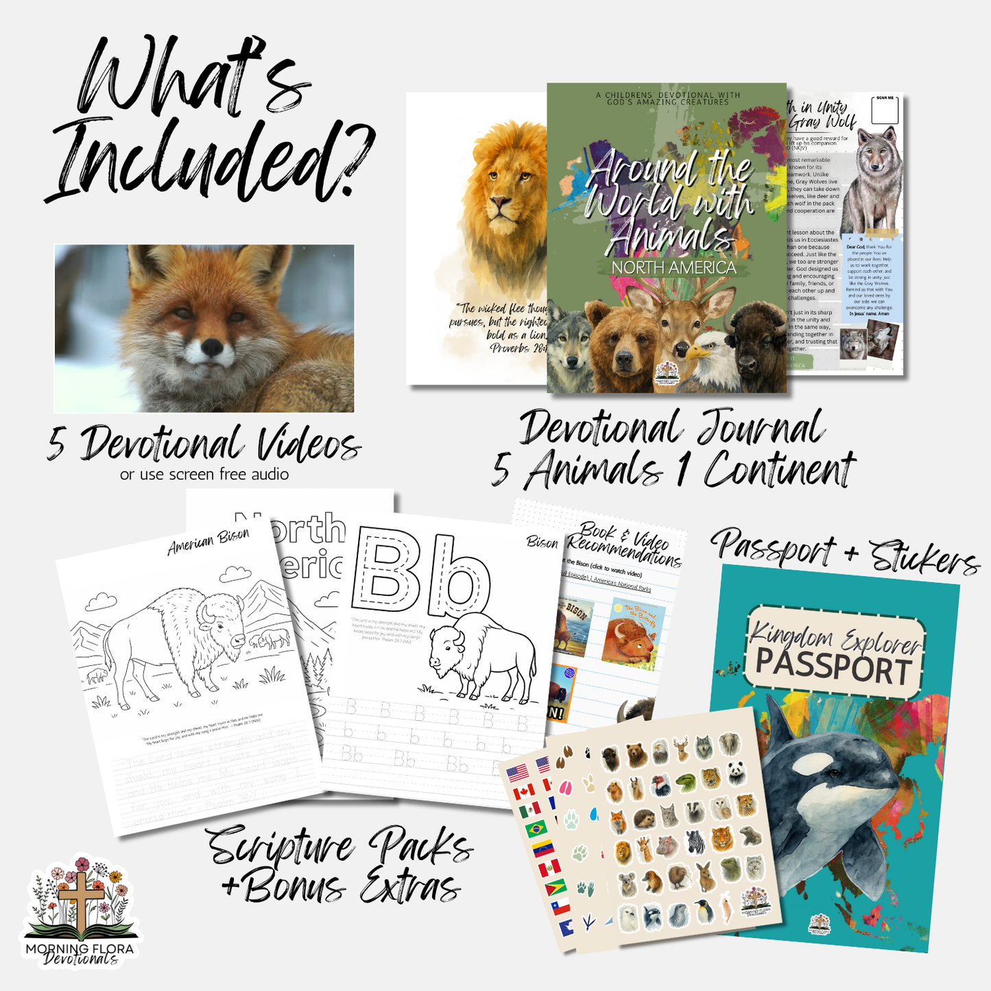 South America - Around the World with Animals - Digital Devotional for Children