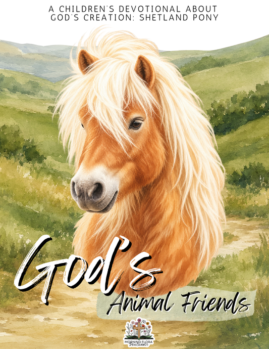 God’s Animal Friends - Shetland Pony