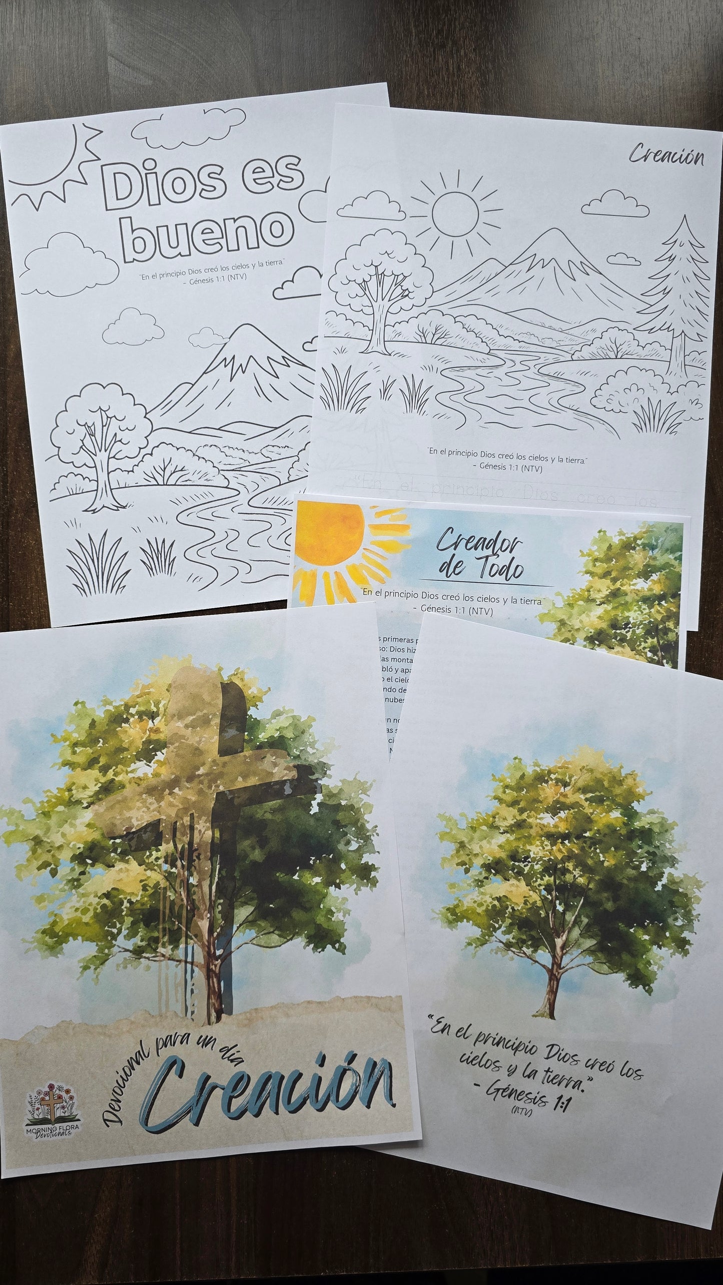 Creación - Devocional para un día