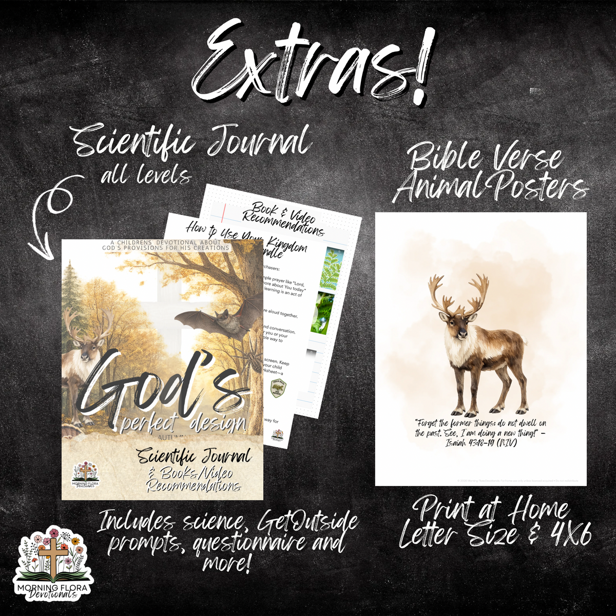 God’s Perfect Design- Fall Edition Bilingual Bundle
