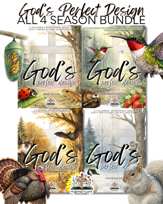 God's Perfect Design - All 4 Seasons Bundle (English Version)