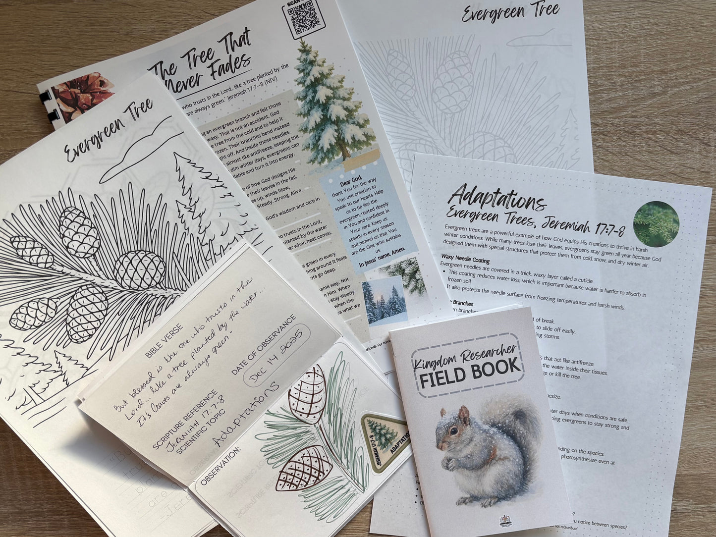 God's Perfect Design Devotional - Winter Edition