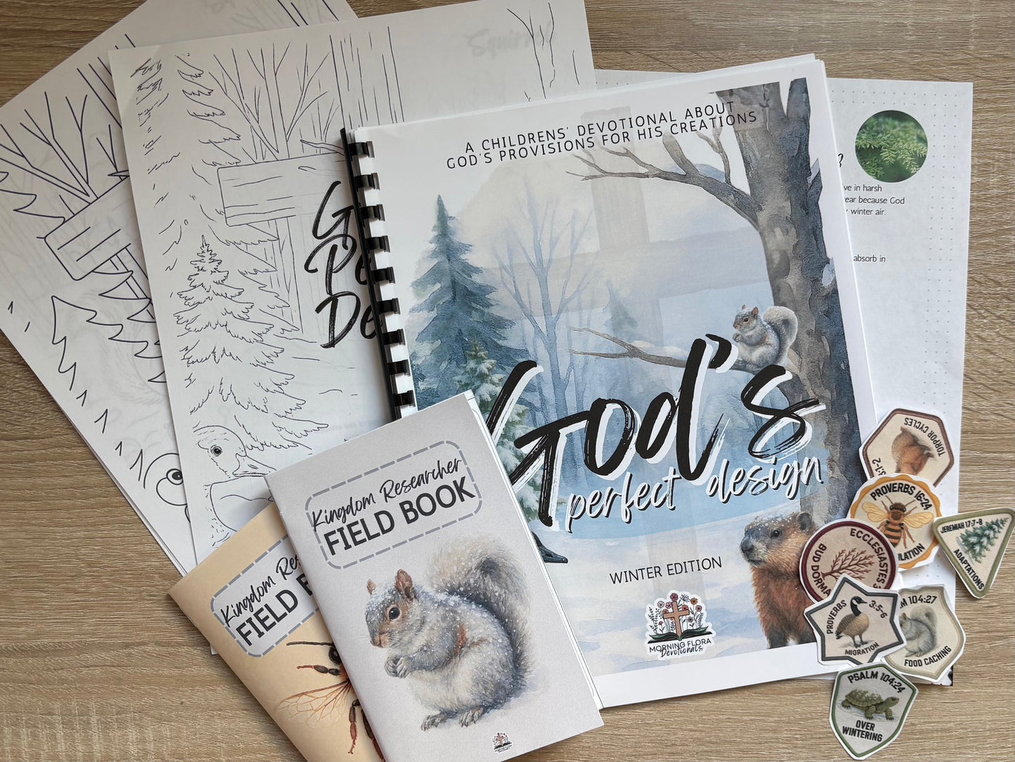 God's Perfect Design Devotional - Winter Edition