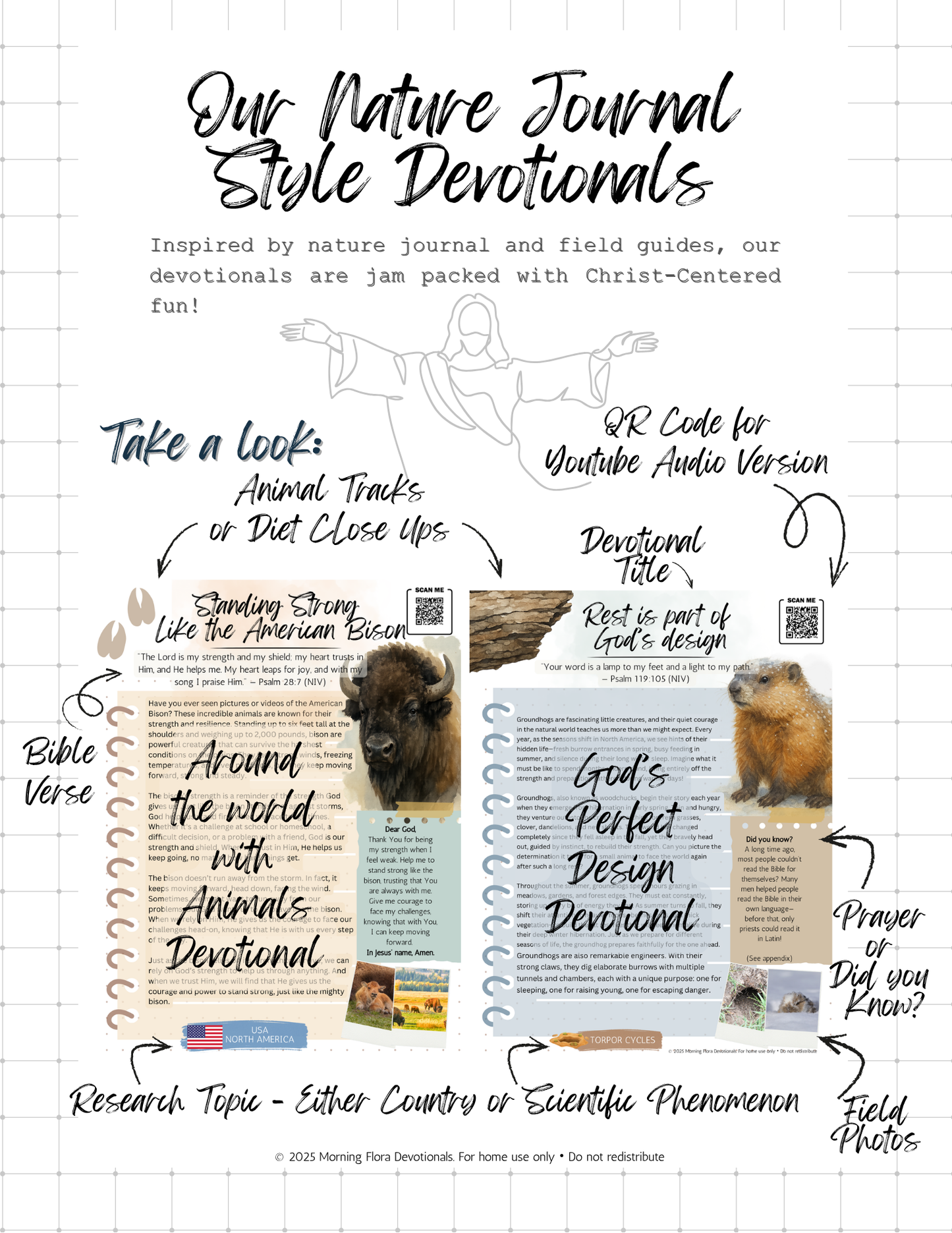 God's Perfect Design Devotional - Winter Edition