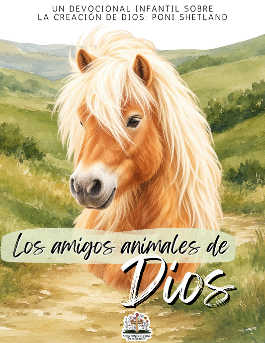 Los amigos animales de Dios - Poni Shetland