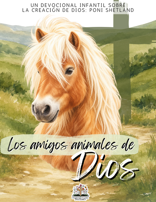 Los amigos animales de Dios - Poni Shetland