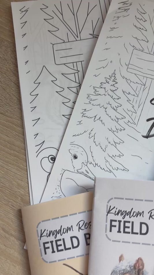 God's Perfect Design Devotional - Winter Edition